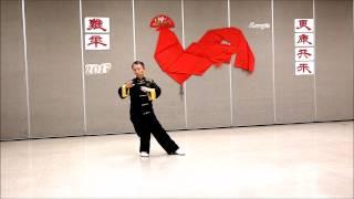 Yang Style Taijiquan 16 Form