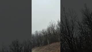 первый снег в лесогорье