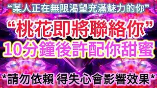  吸引 愛情 冥想 【只需安靜聽它 桃花即將聯絡你】10分鐘後許配你甜蜜這是神奇心輪調頻！收回恐懼 停止過度思考 雙生火焰 顯化愛情 能量已注入（含所有吸引愛情細節⋯無第三方、無視距離、3D因素）