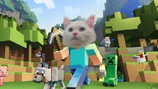 MINECRAFT CAT VERSION (ENG SUB) | CatOutdoor