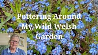 Pottering Around My Wild Welsh Garden