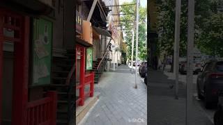 В Харькове летает тополиный пух. 2.06.2023. #Sorts