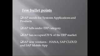 SAP Security Demo