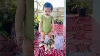 kmu nakal jgn kemana2  #kucing #kucinglucu #shorts #shortvideo #feedshorts