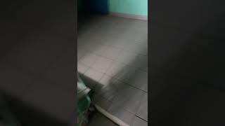 ШОК! ИДУ НА ШТУРМ БЕЛОГО ДОМА!!! ТРАМ КАПИТУЛИРОВАЛ