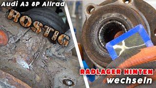 Audi A3 8P R32 Allrad Radlager hinten wechseln