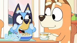 Das Café-Spiel mit Bluey ️ | Vorgetäuschtes Spiel mit Bluey | Bluey - Deutsch Offizieller Kanal