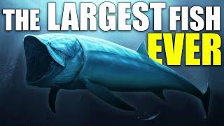 Leedsichthys | Giant Jurassic Fish | 50ft Long