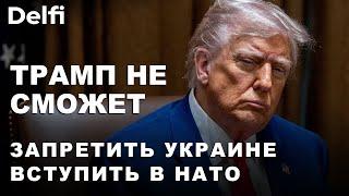 "Трамп ищёт путь к победе. Так единственный путь - дать Путину в нос". Жигимантас Павиленис
