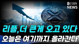 리플, 더 큰게 오고있다 오늘은 여기까지 올라간다