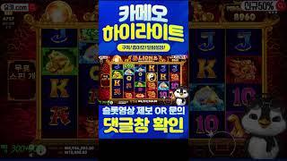 슬롯 카메오 펭귄 오라메 335배 오라메 연타로 수익내는 펭귄이의 클라스! #슬롯잭팟 #슬롯 #슬롯실시간