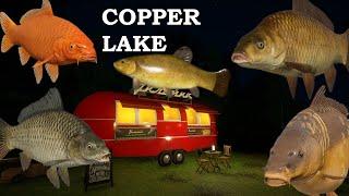 F1 & Carp copper lake Russian Fishing 4 #mjplay