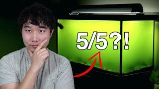 why this fish tank is ACTUALLY 5/5 | Fish Tank Review 219