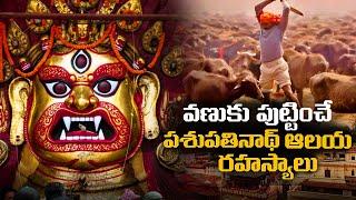 వణుకు పుట్టించే పశుపతినాథ్ ఆలయ రహస్యాలు | Untold Secrets Of Nepal's Pahupatinath Mandir |FN-20Telugu