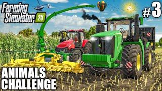 FIRST BIG MAIZE SILAGE HARVEST | ANIMALS Challenge - Episode 3 | Farming Simulator 25