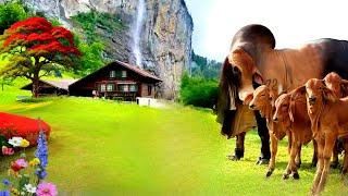 Switzerland The best place in the world to live a happy life