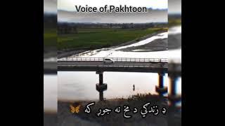 voice of Pakhtoon