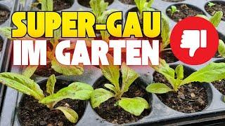 Super GAU im Garten & Status-Update Ende Januar | kalte Voranzucht