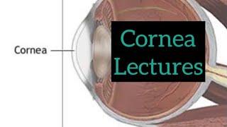 Cornea lectures part 5, Eye / opthalmology lectures #eyelectures #opthalmology #eye #cornea