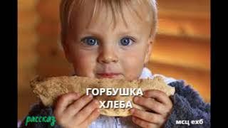 Горбушка хлеба. Рассказ. МСЦ ЕХБ. Читает Николай Козий.