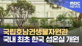 섬 자생식물 한데 모았다.. 한국섬온실 (2024.06.09/뉴스데스크/목포MBC)