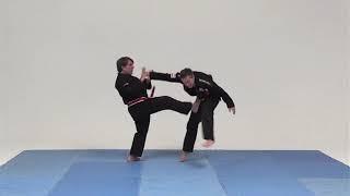 Jukoshin Ryu Jiu Jitsu, Hanshi Eduardo Sánchez