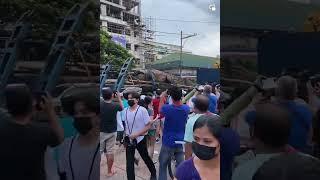 #viral Buaya Raksasa Di Filipina Di angkut bus derek