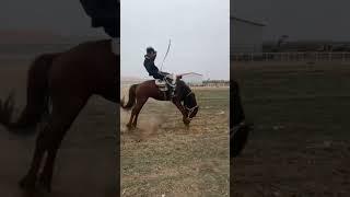 best writer | first ride on a horse | spoiled horse #youtube #horse #horseriding #ytshorts #short