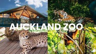 Auckland Zoo | New Zealand | NZ Family Vlogs