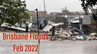 Brisbane Floods Feb 2022 - Brisbane River, Southbank, Hawthorne, Bulimba, Brisbane City, Debris