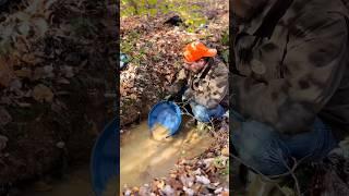 Small Creek Produces Awesome Gold! Gold Panning/Gold Prospecting!