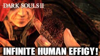 Dark Souls 2 - Infinite Human Effigy Glitch in Majula! (Bonfire Ascetic Exploit) [COGINC]