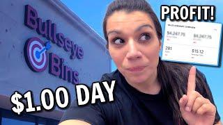 Bin Store $1 Day! How Much Money Does a Bin Store Make??