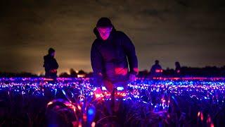 20,000m2 GROW by Roosegaarde highlights the beauty of agriculture. [Official Movie]