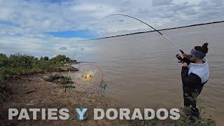 DORADOS y PATIES, HERMOSA PESCA variada DE COSTA en VUELTA DE OBLIGADO, pesca en San Pedro.