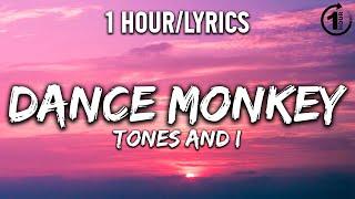 Dance Monkey - Tones And I [ 1 Hour/Lyrics ] - 1 Hour Selection