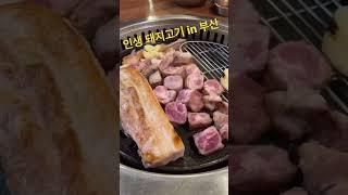 진짜 진짜 진짜 추천하는 부산 찐 돼지고기 맛집, 여기 안가면 후회합니다, 인생 목살 #구덕포끝집고기