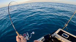 PERTH TUNA FISHING using the Drone