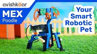 Avishkaar MEX Poodle | Your Smart Robotic Pet | Product Video