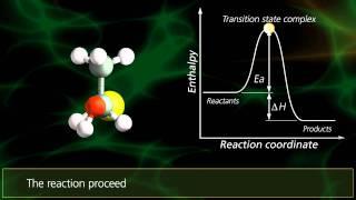 SN2 Reactions | University Of Surrey