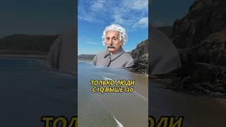Проверь свой IQ  #загадки #задачки #задачиналогику #шортсы #shorts