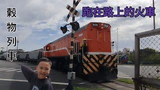 拍特別帥的火車 “榖物列車” ||台灣火車影片 Taiwan's Trains