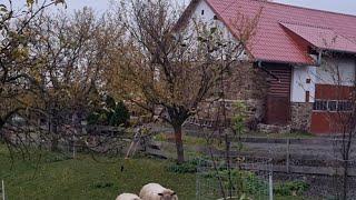 morning walk at one of the beautiful villages of Czech Republic