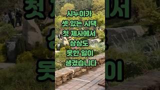 시누이가 셋있는 시댁 첫제사에거 상상도 못한일이 생겼습니다 #제보 #사연 #이