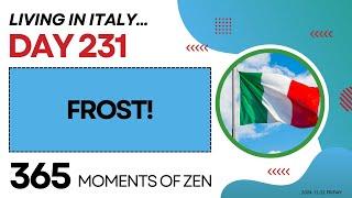 Living in Italy | FROST | Day 231 | Moving from Canada to Italy | 365 Moments of Zen