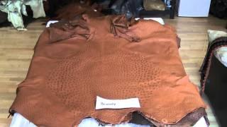 Most Ordered Ostrich Skins