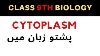 Cytoplasm | Cytoplasm in pashto | Home of biology