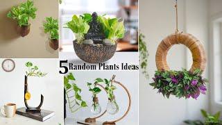 5 Random Plants Ideas That Will Revitalize Your Living Room | Indoor Plants Ideas//GREEN PLANTS