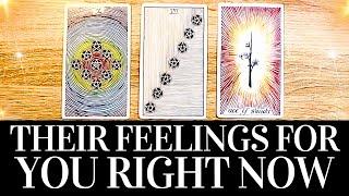 PICK A CARD Their FEELINGS For You RIGHT NOW!  They want you to know THIS!  Love Tarot Reading