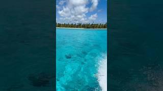 Остров Саона (Доминикана) 2025 iDominicana.com